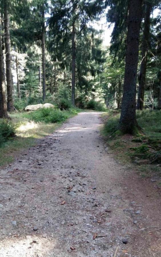 Bergerlebnis Natur Pur Sankt Englmar Εξωτερικό φωτογραφία